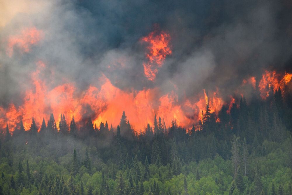 Hiobsbotschaft fürs Klima: Neuer CO2-Rekord