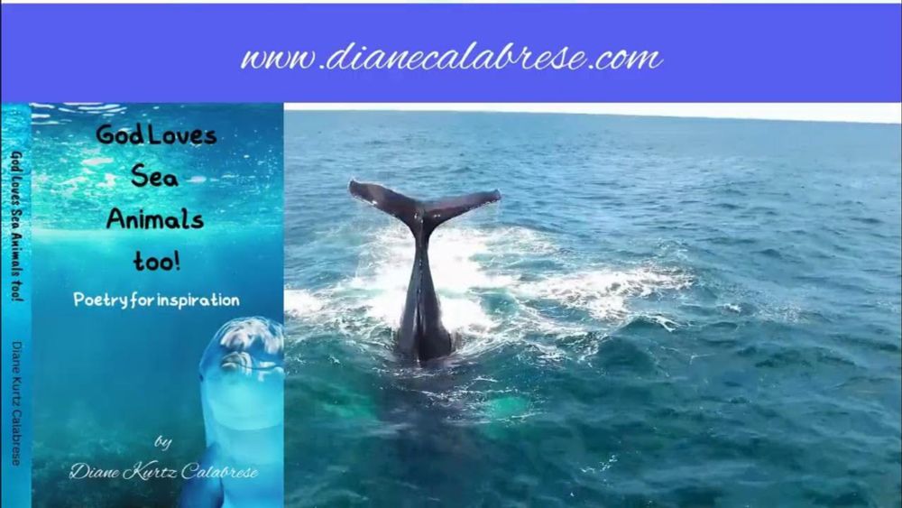 Book Trailer: God Loves Sea Animals too! poetry for inspiration