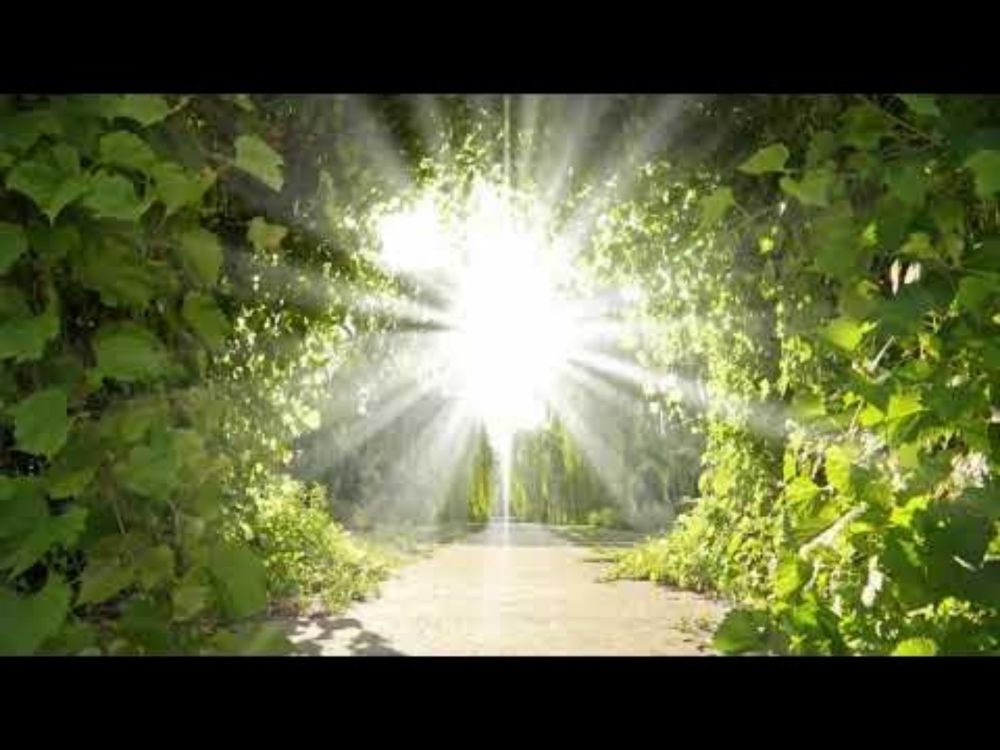 Heaven's Garden Meditation written & narrated by Diane Kurtz Calabrese