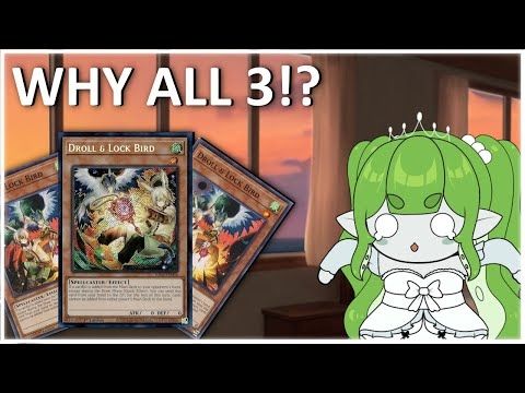 So you Drew 3 Droll and Lock Bird, Yugioh Master Duel Funny Moment