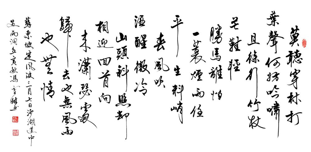 《定风波》苏轼：「莫聽穿林打葉聲，何妨吟嘯且徐行，竹杖芒鞋輕勝馬，誰怕。一簑煙雨任平生。料峭春風吹酒醒，微冷，山頭斜照卻相迎，回首向來蕭瑟處，歸去，也無風雨也無晴」