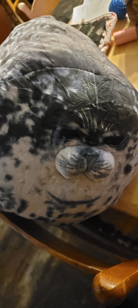 A picture of a stuffed seal plushie with realistic face. He is all wrinkly 