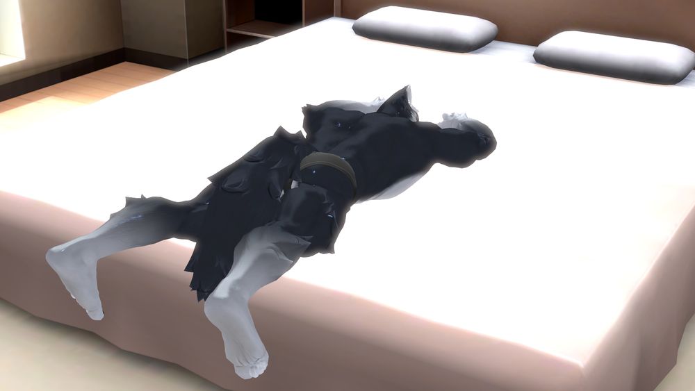 The image shows an anthro wolf laying face down on a bed after slumping on top of it.