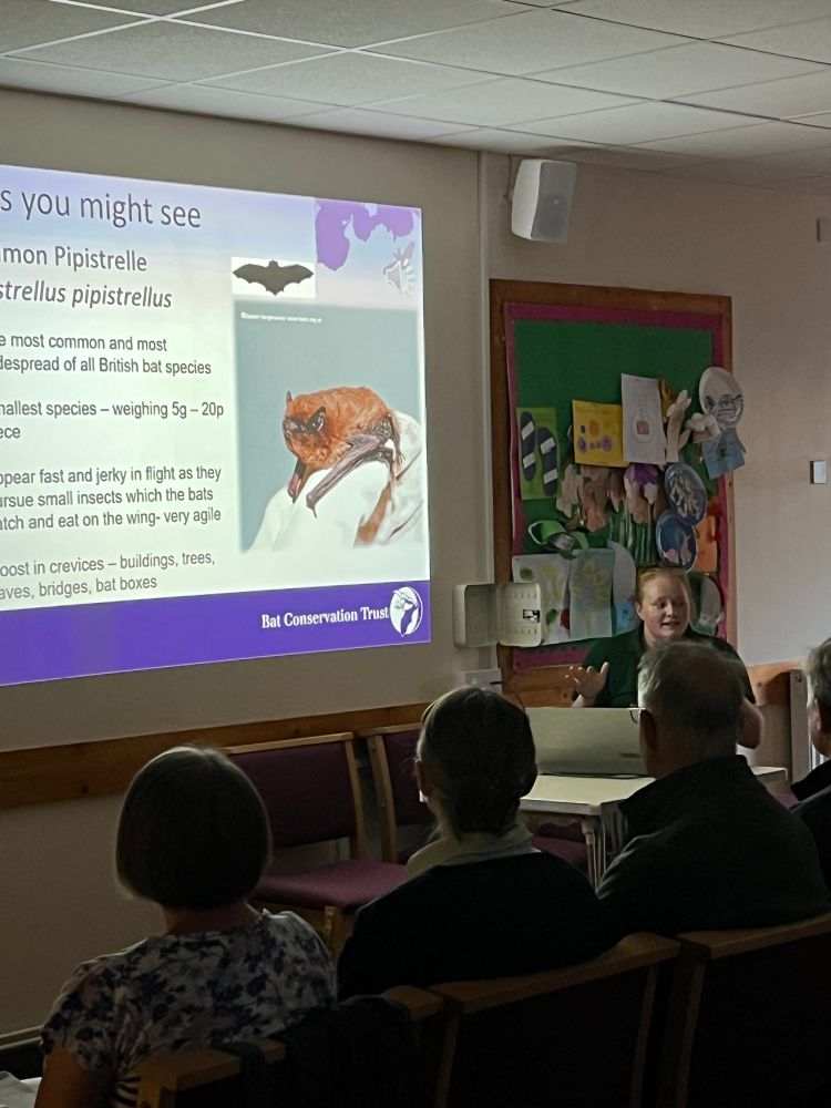 Closer pic of Bethan telling the audience about bats with a slideshow featuring bat photographs. 
