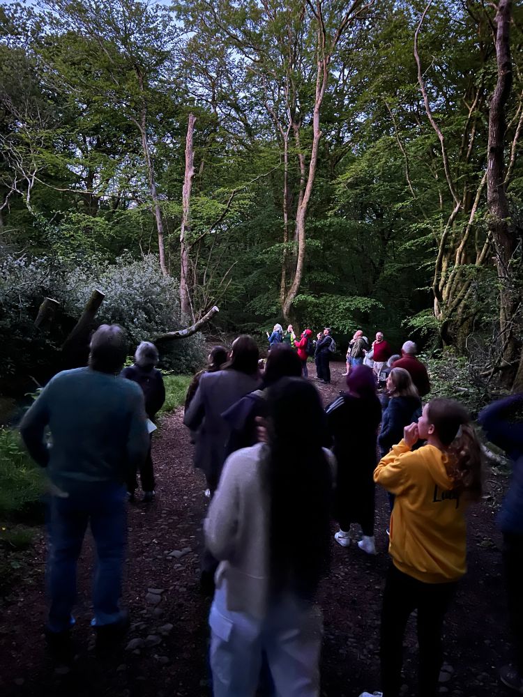 People gathered in a woodland clearing looking up watching and hearing bat echo-locations on bat detectors. 