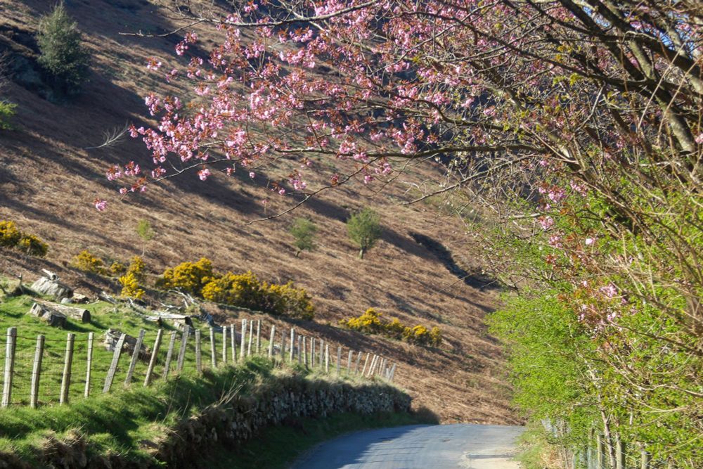 Scenic road, Lake District