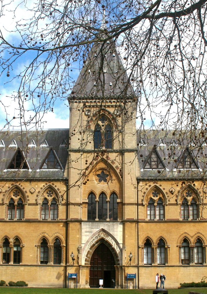 Oxford University Museum of Natural History, where I worked for 11 years.