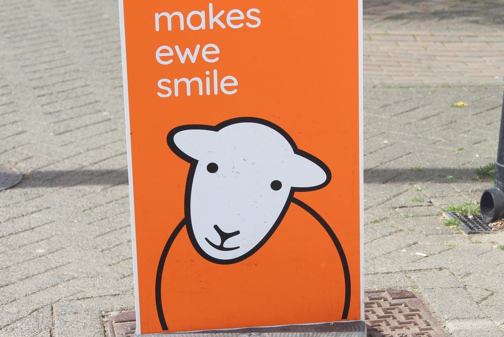 Sheep face