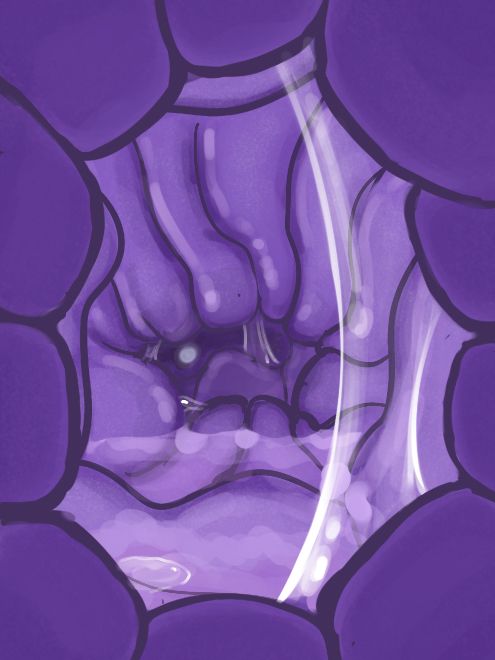 Getting massages by their pylorus as you watch that glowy ball sink into deeper guts… you are soon to follow as the gooey fluids help meander you along.