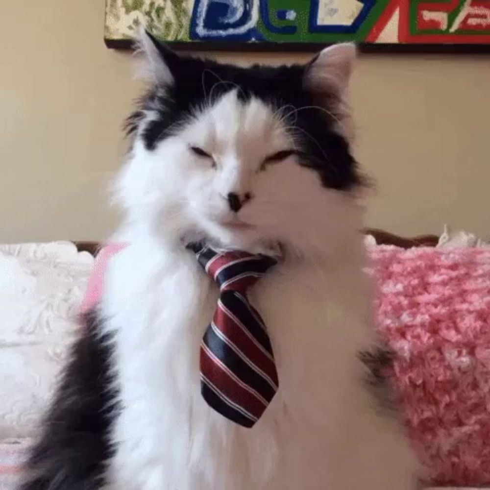 a black and white cat wearing a striped tie with its eyes closed