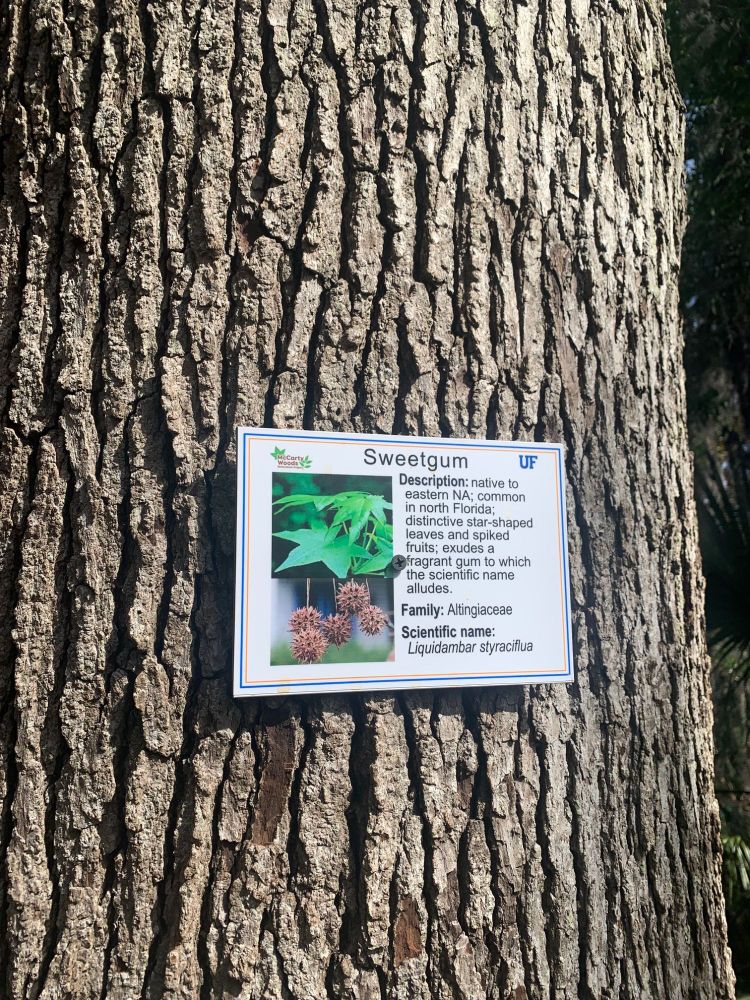 tree label