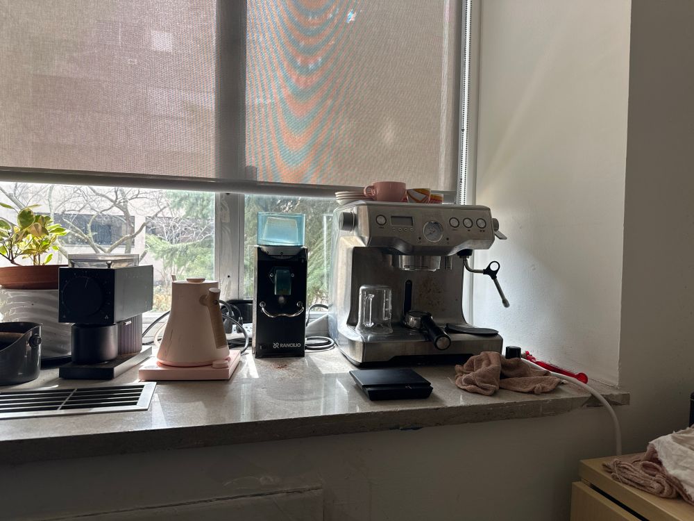 A potted plant, a coffee grinder, a pink electric kettle, an espresso grinder, and an espresso machine.