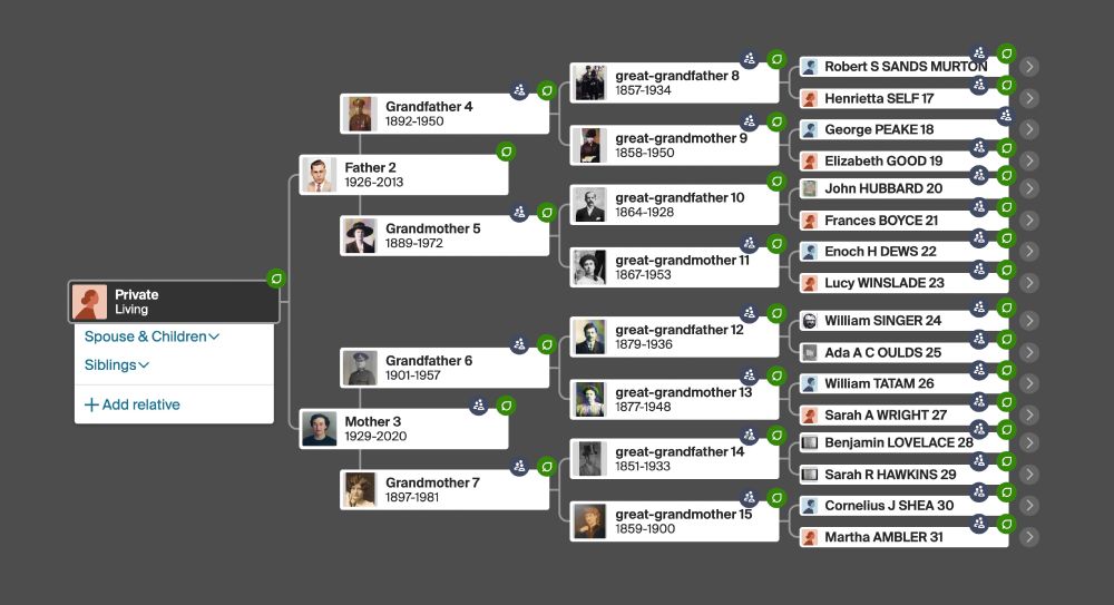 This image is of a horizontal 5-generation family tree set against a grey background. 

 It reads from left to right: from the host individual on the left through to the 2nd great-grandparents on the right. Each individual is represented by a rectangular box with space held for a profile thumbnail, a name, and years of birth and death. 

Profile thumbnails are present for generations 2, 3, and 4. For privacy, names are given only for the 5th generation. To the right of each 5th generation individual an arrow indicates further generations available.

Just like a living tree, it continues to grow as each branch is discovered and reveals its story.

*****

For all of their decisions - known and unknown, good and bad.
For shouldering burdens, 
pushing through struggles, 
and making the best of what they were given . . .
they warn me, inspire me, and make me proud.
Because of them, I exist.

The search for their truths recorded in dates and places and events of history enriches me, for which I am forever grateful.

