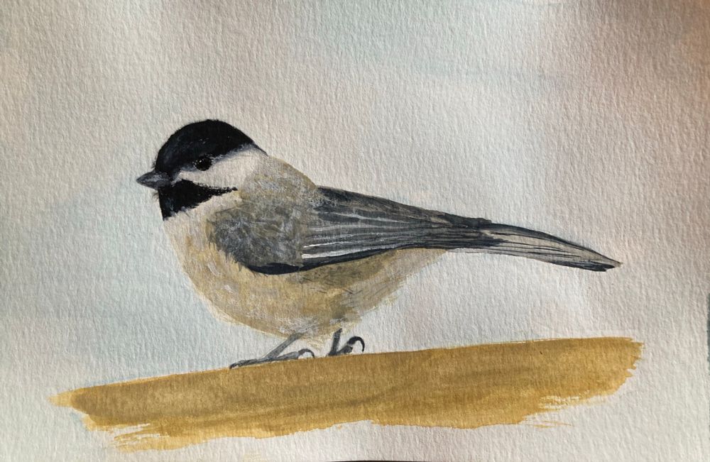 A watercolor painting of a chickadee 