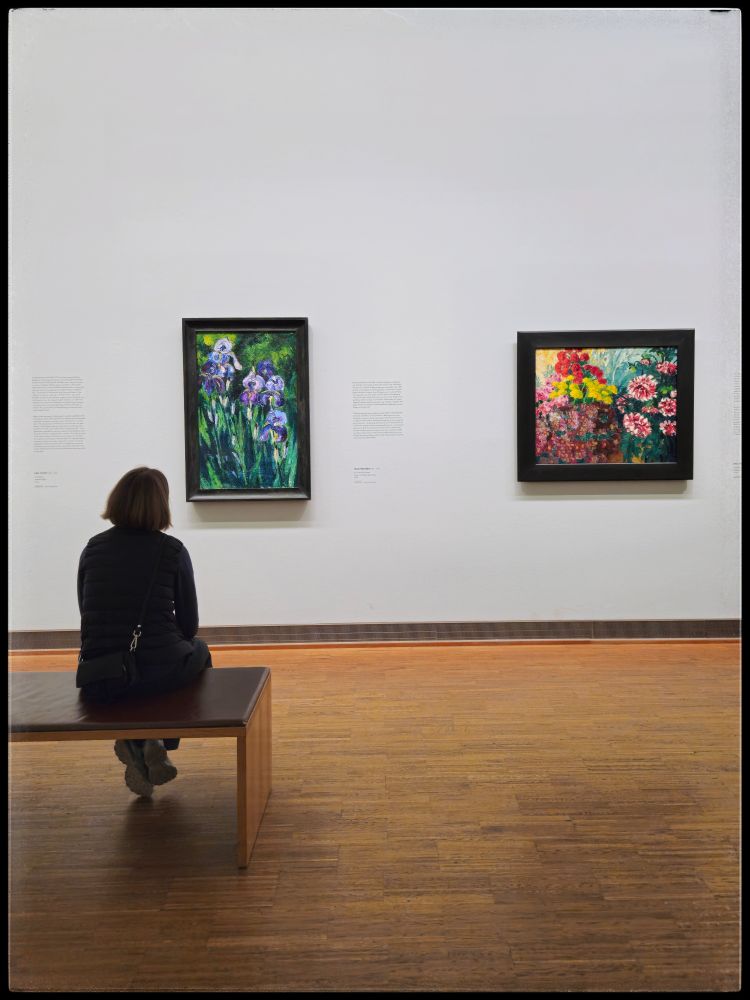 Eine Person sitzt auf einer Holzbank in einem Museum oder einer Galerie und betrachtet zwei farbige Gemälde an einer weißen Wand. Das linke Gemälde zeigt blaue und violette Blumen mit grünem Hintergrund, das rechte Gemälde zeigt einen Blumenstrauß in einem Korb mit roten, gelben und rosa Blüten. Neben jedem Gemälde befinden sich erklärende Texttafeln an der Wand. Der Boden ist aus Holz, und die Person sitzt mit dem Rücken zur Kamera.
