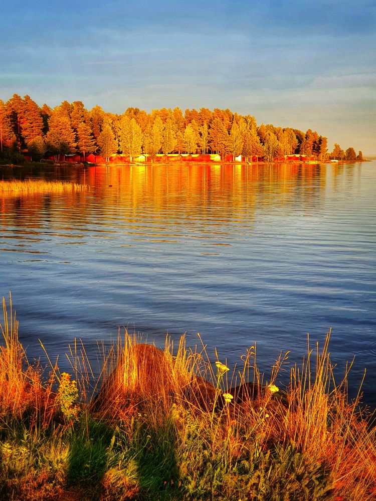 Ufer mit hohem Gras im Vordergrund, dahinter ein ruhiger See, der das goldene Licht der tiefstehenden Sonne reflektiert. Am gegenüberliegenden Ufer steht ein dichter Wald aus Bäumen mit herbstlich gefärbtem Laub, das in warmen Gelb- und Orangetönen leuchtet. Der Himmel ist leicht bewölkt und zeigt ein sanftes Blau.