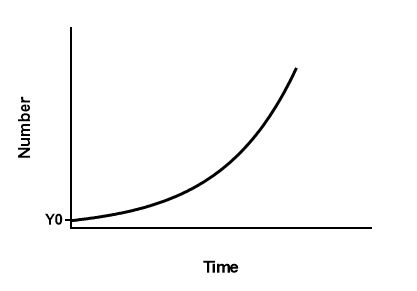 A depiction of a standard exponential growth curve.