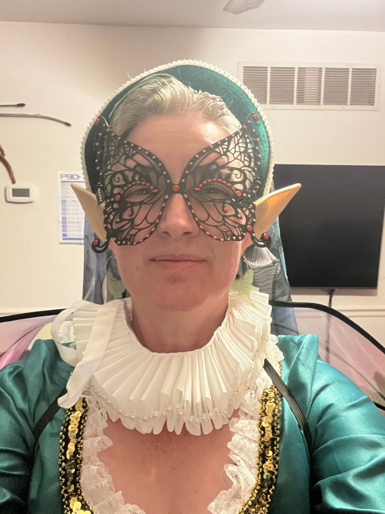 I was moth/mote with a moth wing French hood/3d printed mask and Elizabethan style dress. 
