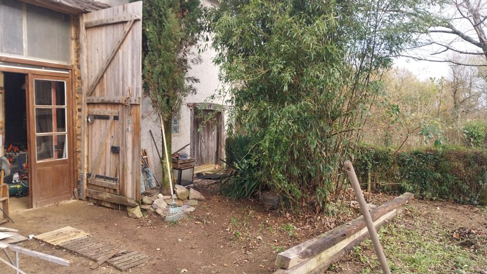 Avant de la maison avec bambous, haie  grande et petite porte. C'est le grand nettoyage des feuilles 