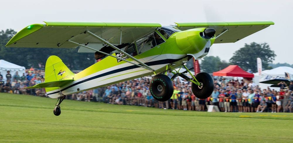 some sort of green stol cub