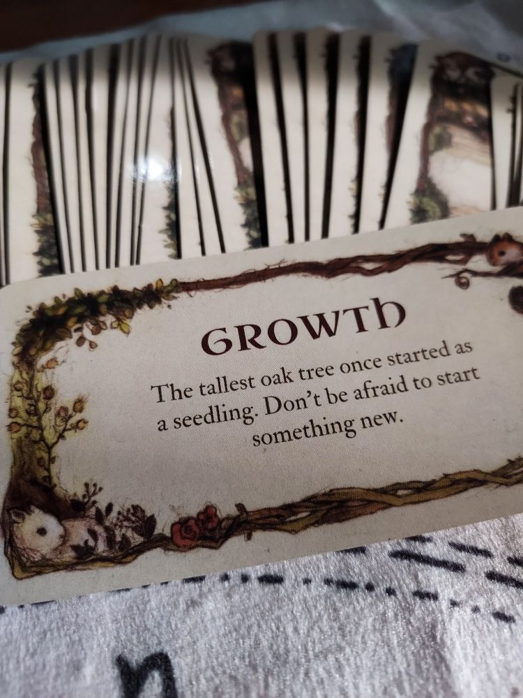 Whispering Woods oracle card by Jessica Le 
"The tallest oak tree once started as a seedling. Don't be afraid to start something new."