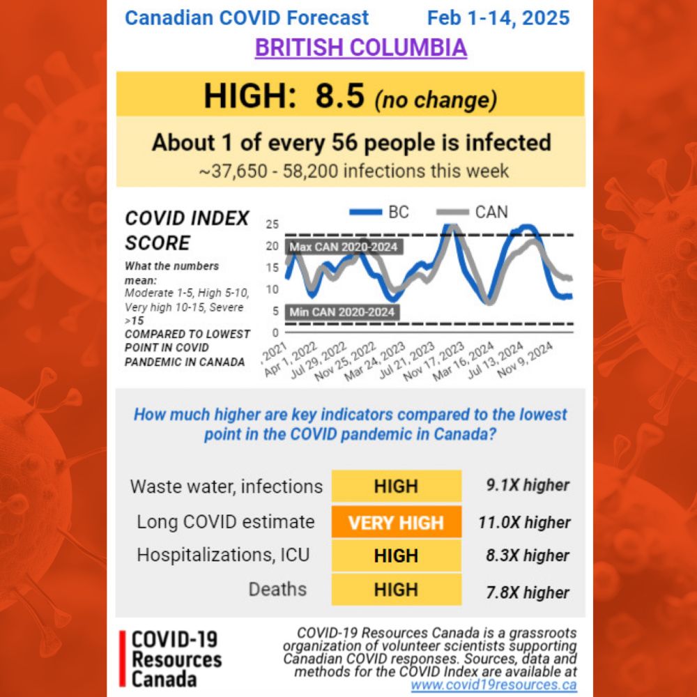 British Columbia’s COVID Forecast for Feb 1-14, 2025, produced by COVID-19 Resources Canada. Outlook is HIGH (no change) with a COVID INDEX SCORE of 8.5
About 1 in every 56 people is infected.
Estimated infections this week: 37,650-58,200
What these numbers mean: MODERATE 1-5, HIGH 5-10, VERY HIGH 10-15, SEVERE >15 COMPARED TO THE LOWEST POINT IN THE COVID PANDEMIC IN CANADA
How much higher are key indicators compared to the lowest point in the COVID pandemic in Canada?
Waste water, infections: HIGH; 9.1X higher
Long COVID estimate: VERY HIGH; 11.0X higher
Hospitalizations, ICU: HIGH; 8.3X higher
Deaths: HIGH; 7.8X higher