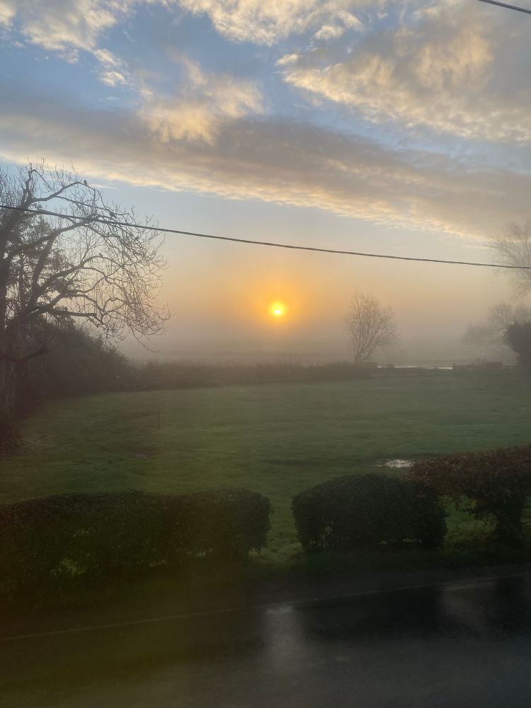 Sun rising through the mist