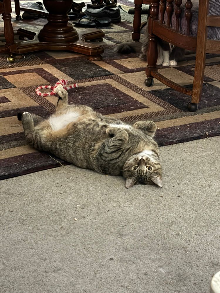 Chubby baby girl begs me not to vacuum 
