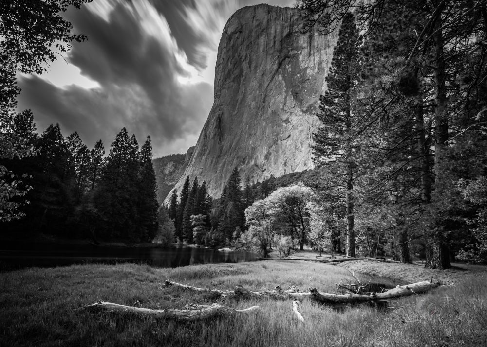 Mono photo of a grassy clearing with tall pine trees at the edge. El Capitan rises behind with stormy clouds above