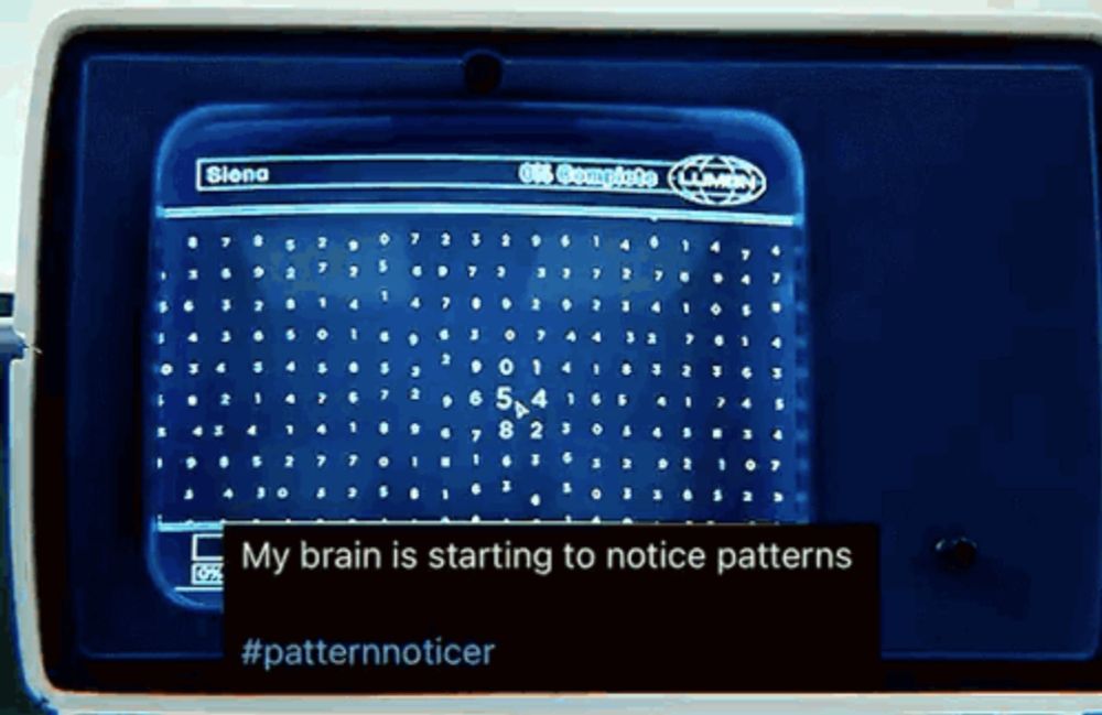 a computer screen that says siena on it and says " my brain is starting to notice patterns "