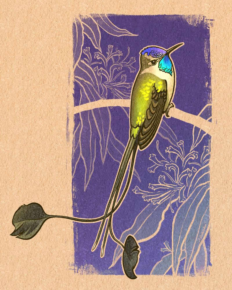 Digital painting of a marvelous spatuletail