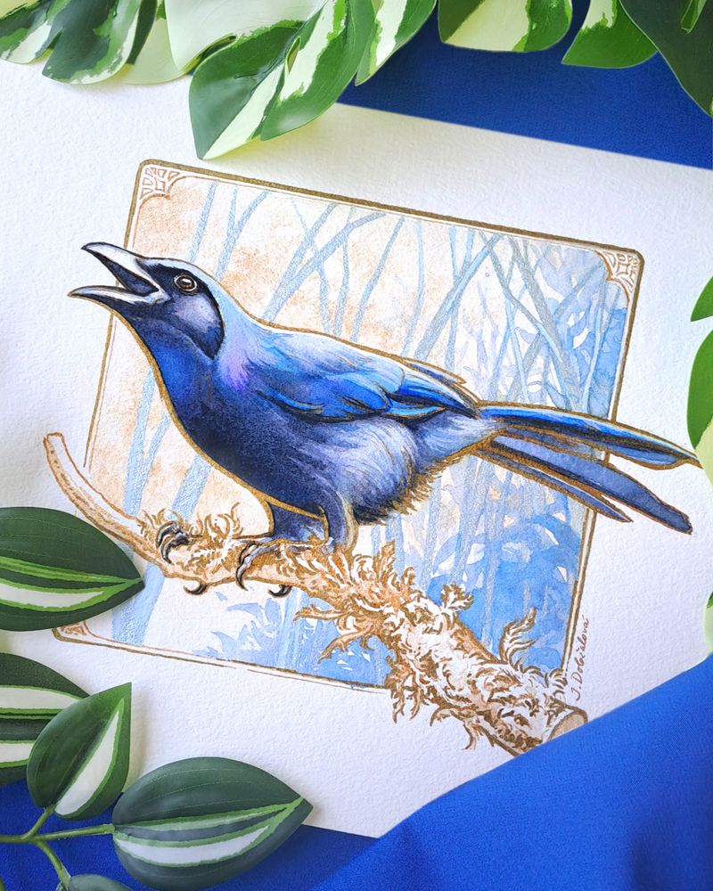 A photo of an illustration of a Beautiful Jay in golden ink and watercolor.