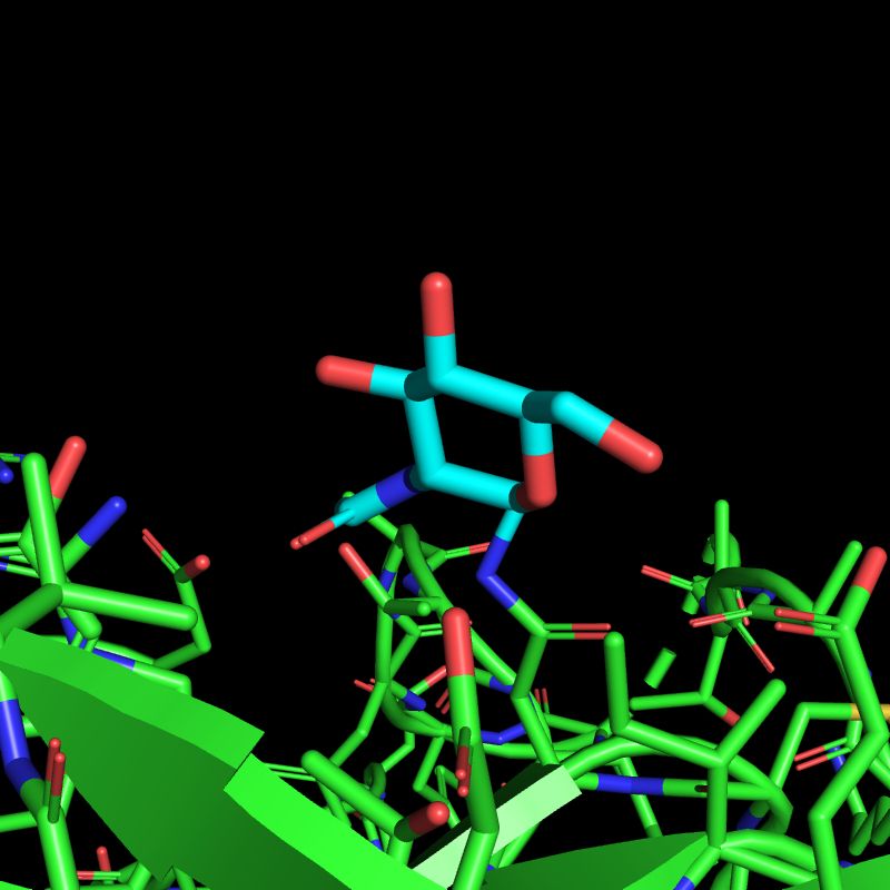 NAG is present in >54,000 PLINDER systems but isn't particularly interesting for predicting protein-ligand binding.