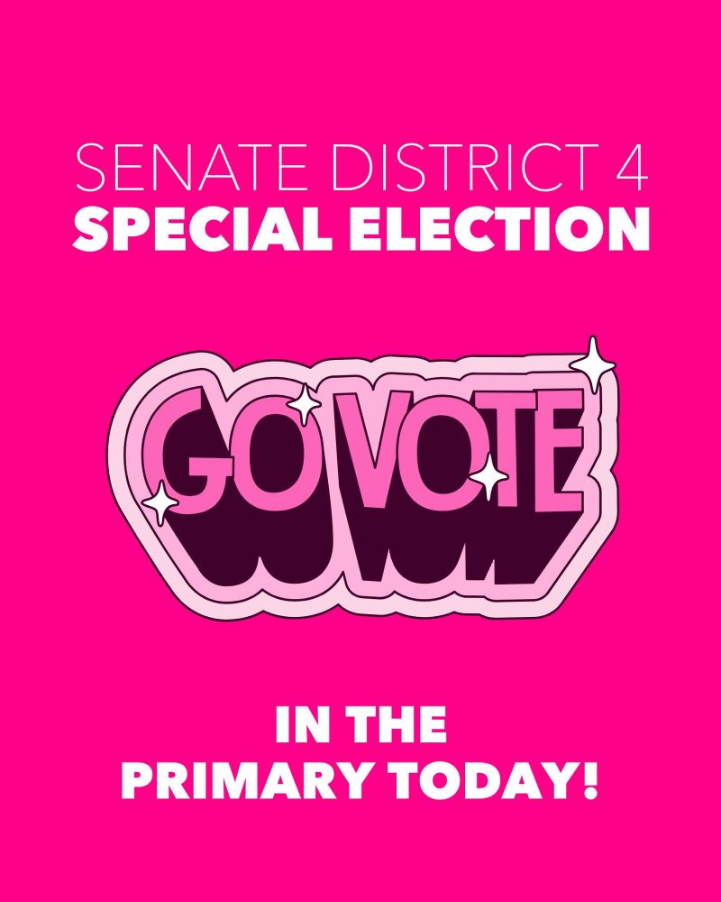 [Promotional poster for Senate District 4 Special Election, featuring bold 'GO VOTE' text on a bright pink background with an encouragement to participate in the primary today.] 