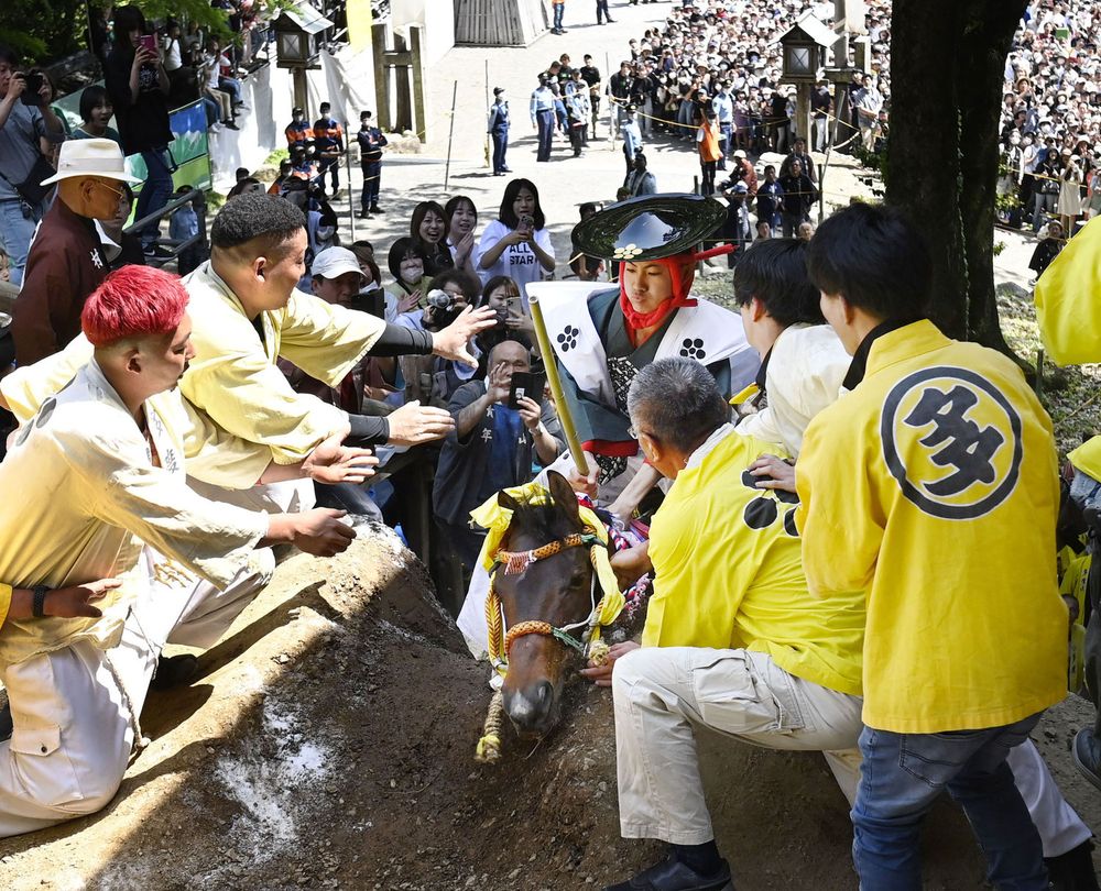 「上げ馬神事」で12人書類送検 動物虐待疑い、三重・桑名