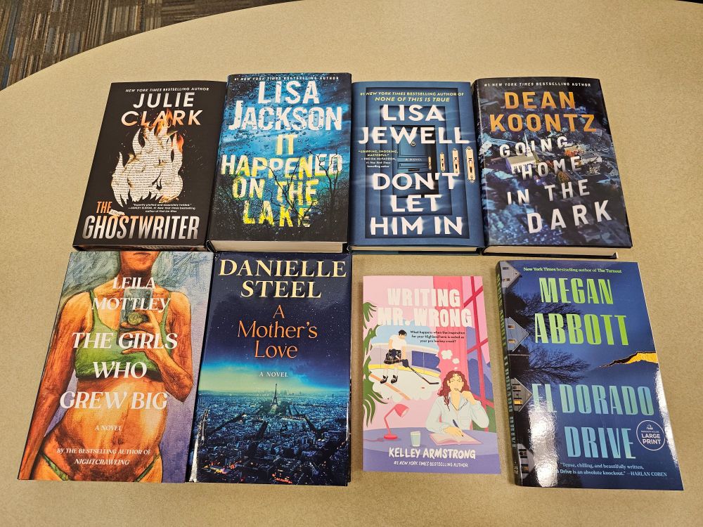 Eight fiction books on a table, from top left: The Ghostwriter by Julie Clark, It Happened on the Lake by Lisa Jackson, Don't Let Him In by Lisa Jewell, Going Home in the Dark by Dean Koontz, The Girls Who Grew Big by Leila Mottley, A Mother's Love by Danielle Steel (also in large print), Writing Mr. Wrong by Kelley Armstron, and El Dorado Drive by Megan Abbott.