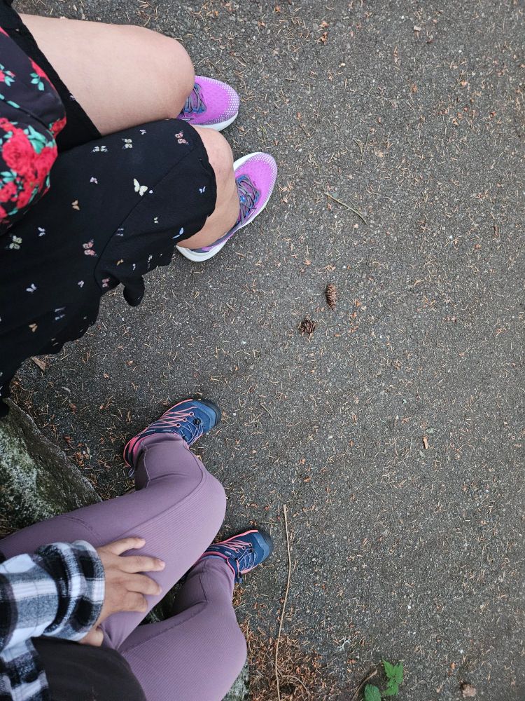shoes and legs on pavement with pinecones