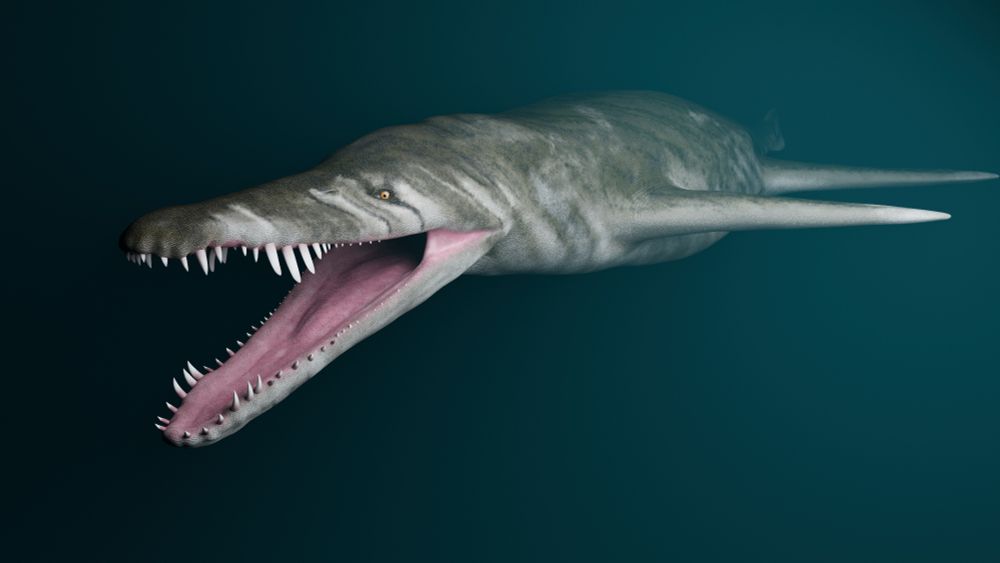 Liopleurodon ferox - 3D modelled and textured, ready for rigging and animation.