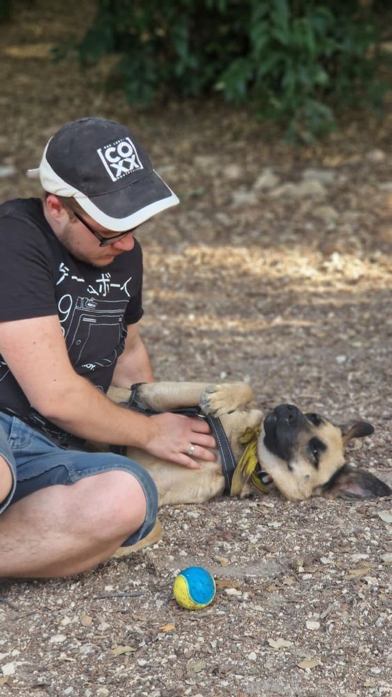Allongée dans le parc à nouveau, Sarabi vit sa meilleure vie de détente et de gratouille à côté de moi qui la regarde