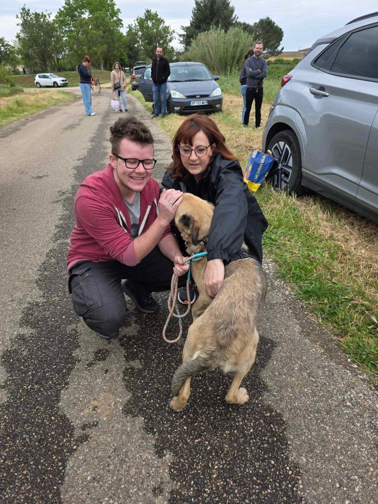 Idem accroupi potes du chien avec la bénévole. Le chien fait des bisous! Je suis trop content! !