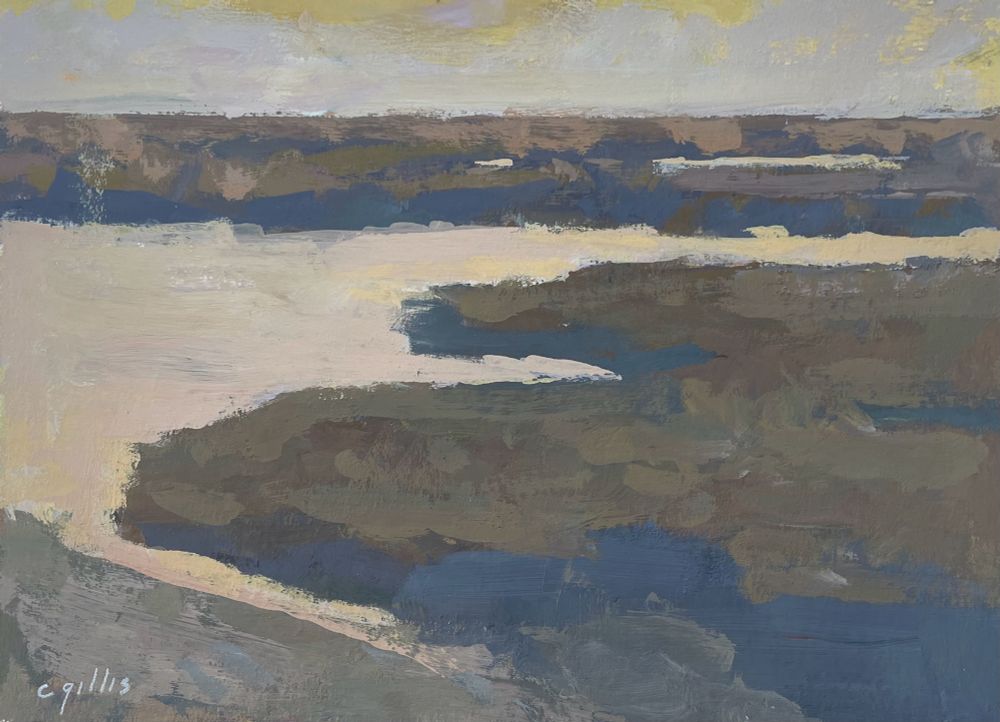 Spring marsh