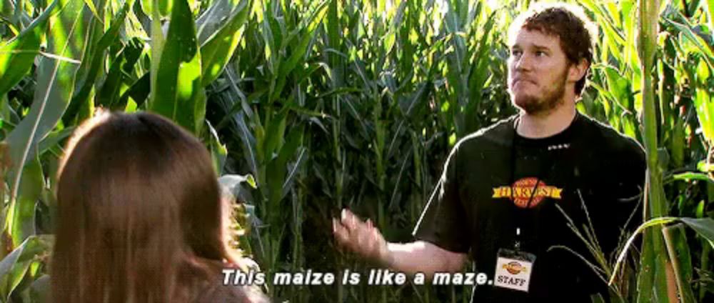 This Maize Is Like A Maze GIF