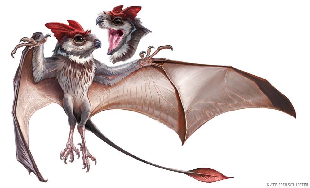 A design of a feathery bat-like dragon with a red cockscomb and veined tail, and a wide opened toothy gape.