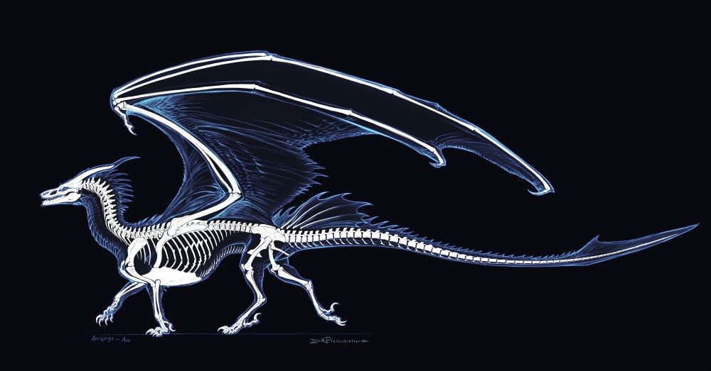 Hexapodal dragon skeleton; wings-behind-arms style. Featuring my childhood dragon character, Arro.