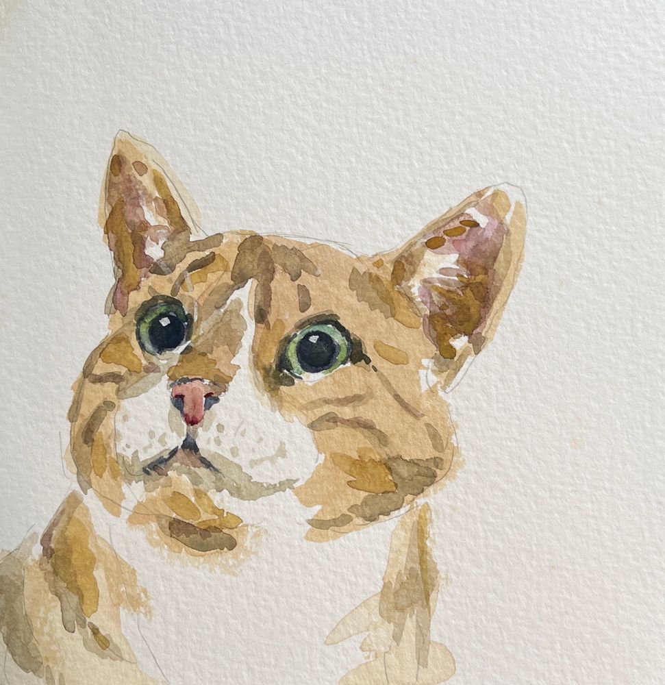 watercolor cat