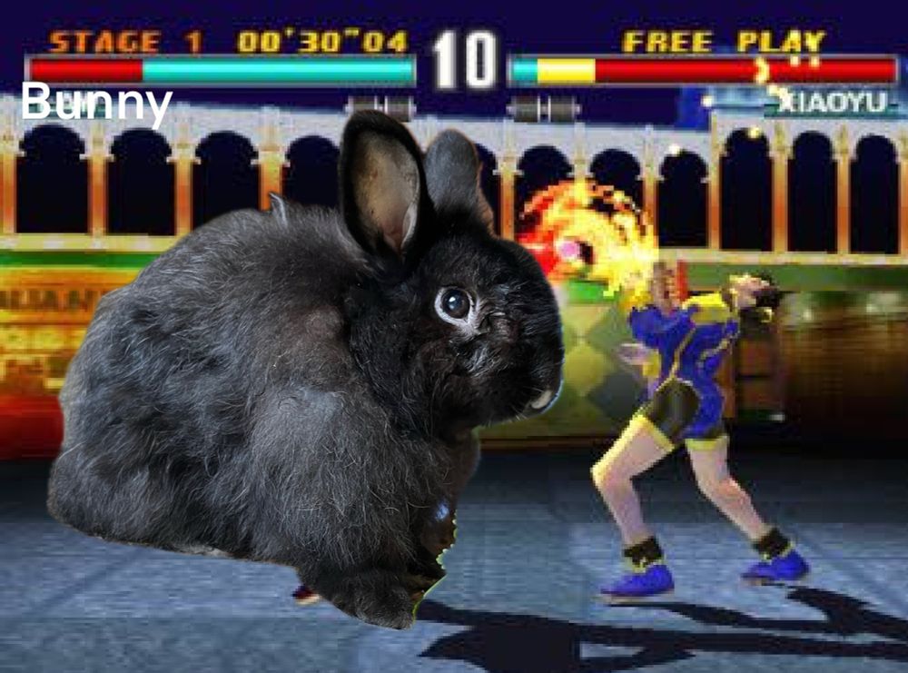 binky my bunny in tekken