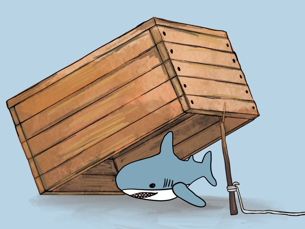 box trap with blahaj as bait