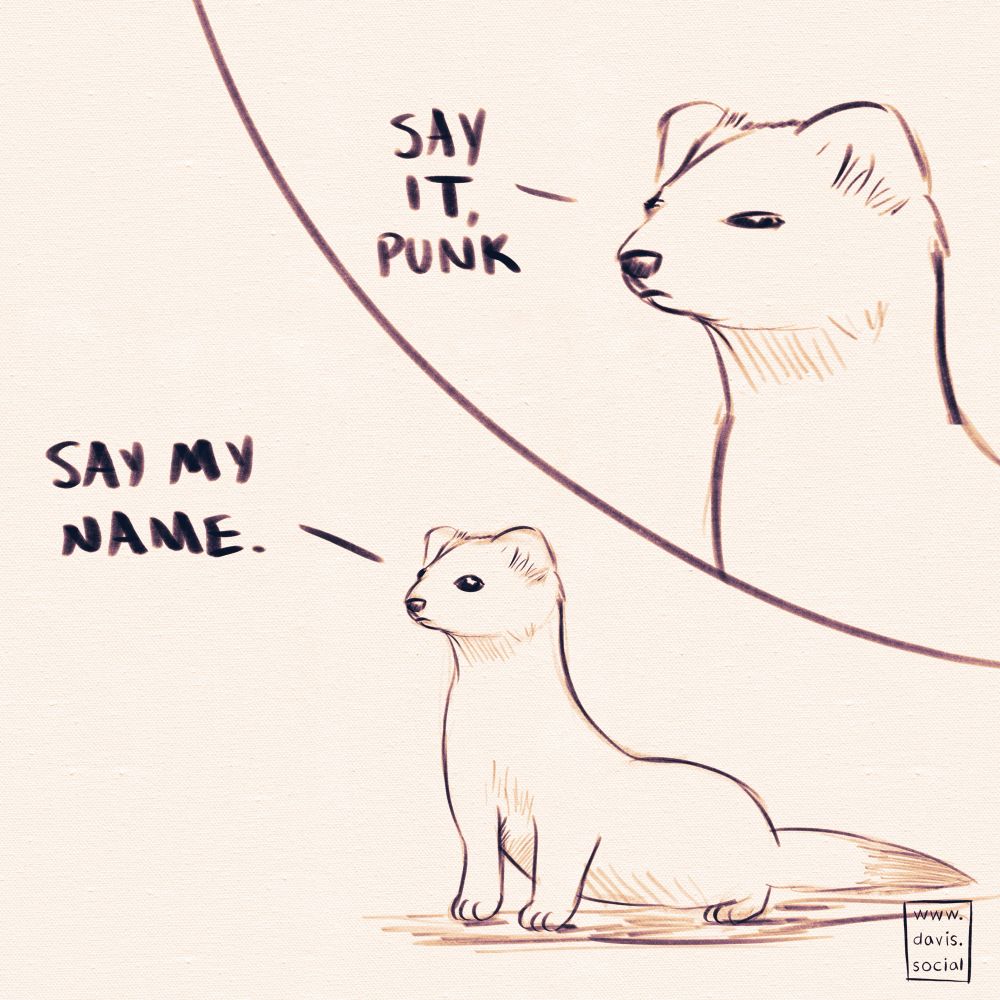 A doodle of a little ermine saying, “say my same.” It squints and says, “say it, punk.”