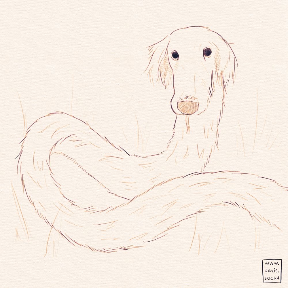 Doodle of a borzoi with a furry snakelike body