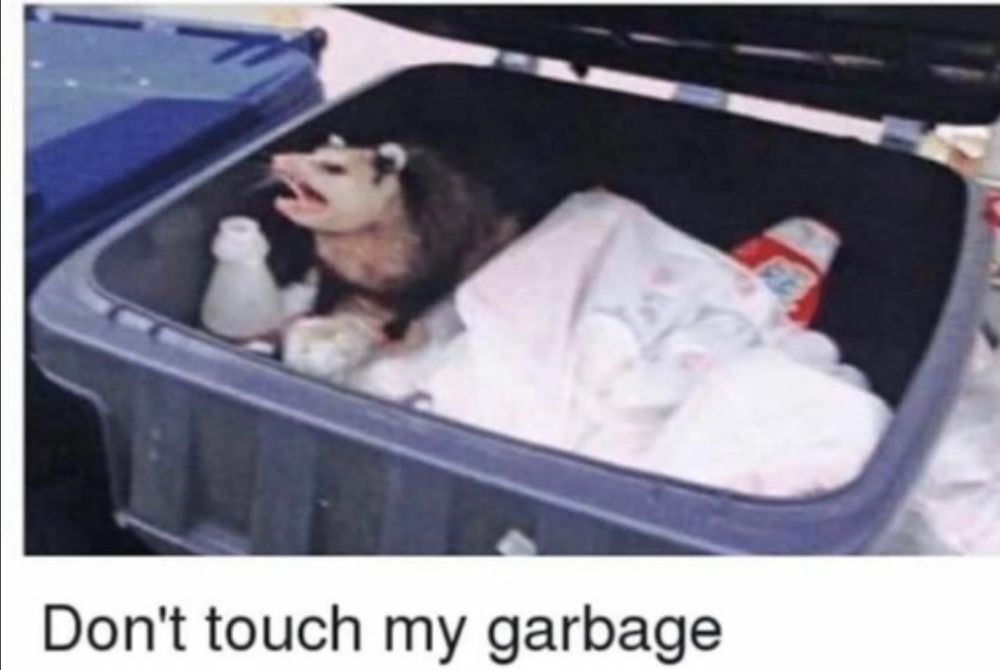Comment image